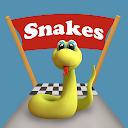 Snake Way 3D: Adventure Run