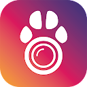 PetCam App - Dog Camera App