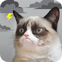 Grumpy Cat Weather