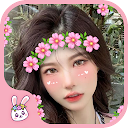 Crown Heart Emoji live Filters