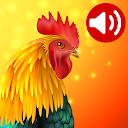 Animals: Ringtones