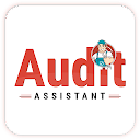 Audit Assistant - inspection